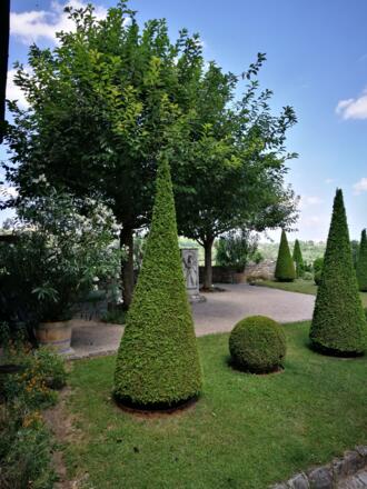 Willibaldsburg Garden