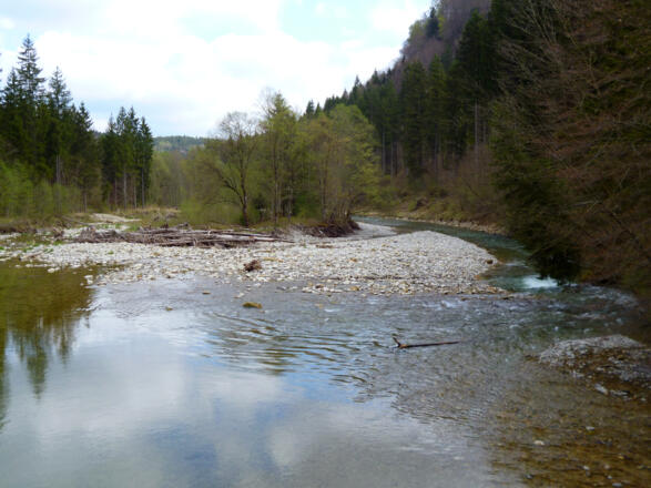 Die weiten Kiesbänke rund um den Kalkofensteg bieten sich zum Verweilen an.