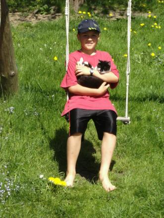 Kind u. Katze auf der Schaukel