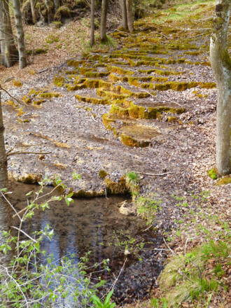 Die Sinterterrassen etwas weiter hangaufwärts.
