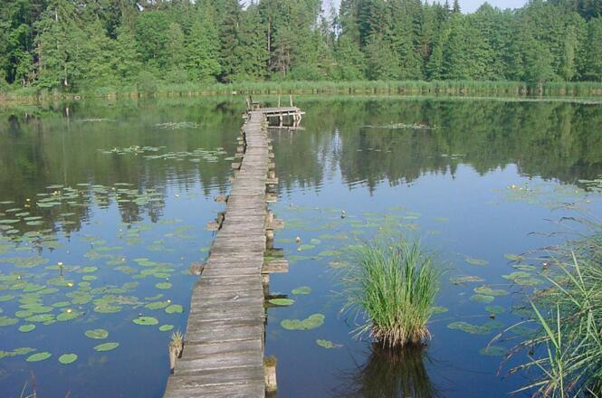 Wer sich über den Steg traut, sitzt an dessen Ende auf einer Bank mitten auf dem Neusee.