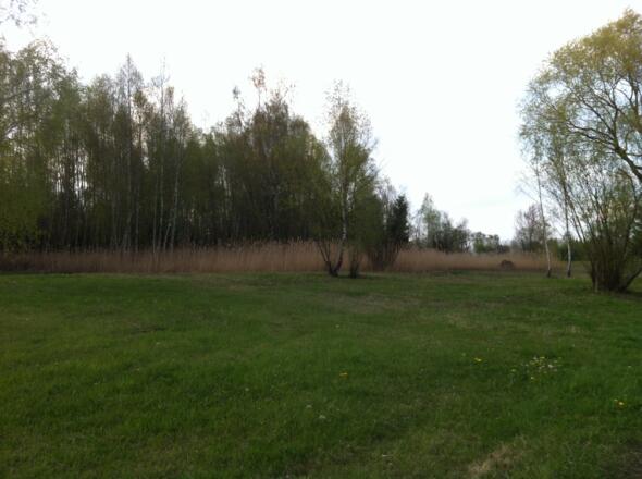 Grandlmoos beim Insektenhotel