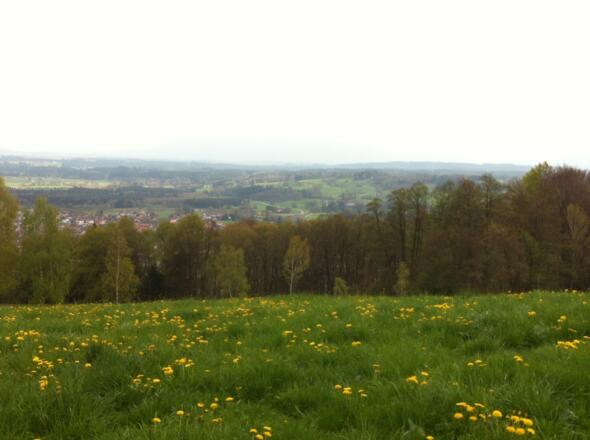 Vom Feldkreuz hat man einen herrlichen Weitblick auf die Alpen.