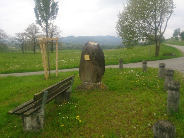 Findling Reiselsberger Sandstein