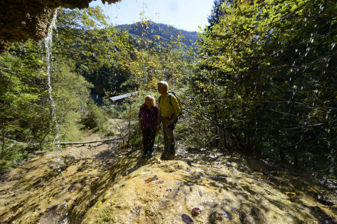 Die einzigartigen Kalk-Sinterterrassen an den Hängen zwischen Ammerschlucht und Kalkofensteg.