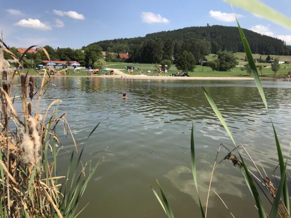 Badesee westlich von Hetten in Hohenpeißenberg