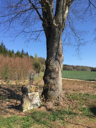 Feldkreuz bei Ziegelhof