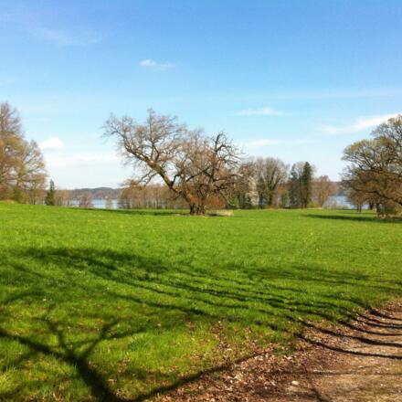 Bernrieder Parklandschaft