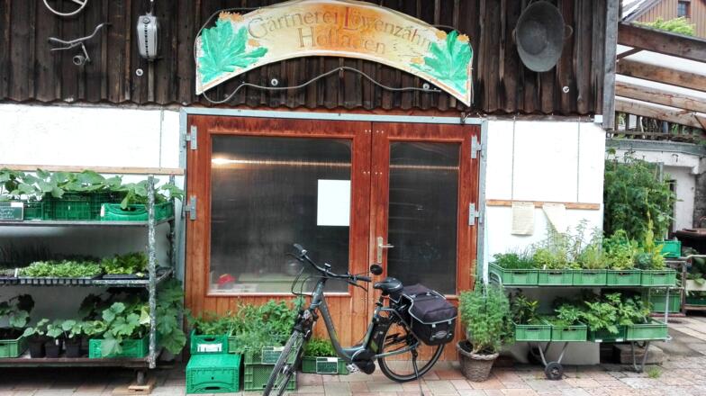 Gärtnerei Löwenzahn