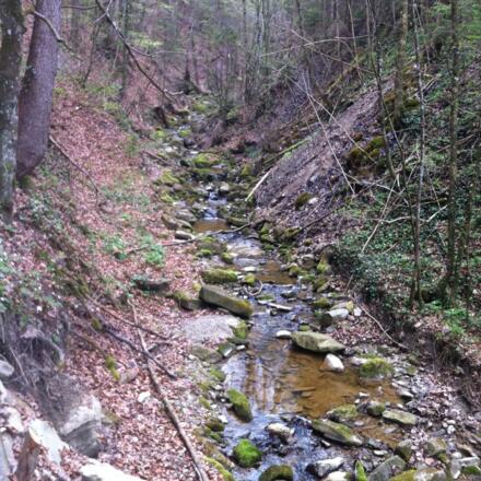 Wildromantische Klamm des Reitnerbaches