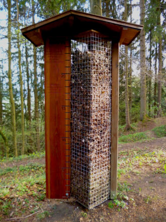 Ohne den fleißigen Kleinstlebewesen wäre der Waldboden meterhoch mit Laub bedeckt.