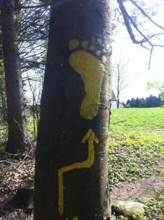 Fußabdrücke an den Bäumen weisen den Weg durch den Wald