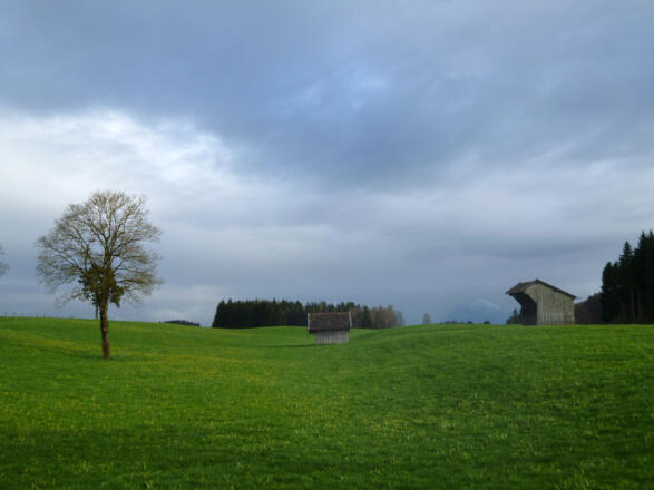 Wunderschöner Blick über die wellige Hardtlandschaft hinweg auf die - hier nur schwach sichtbaren - Bayerischen Alpen.