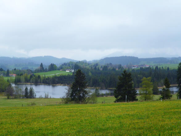 Blick auf den malerisch gelegenen Schwaigsee.