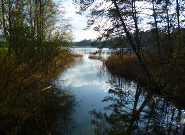 Traumhafter Blick von der Brücke nach Westen auf den Fohnsee.