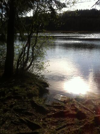Rastplatz am Stadler Weiher