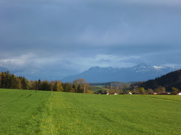 Dreht man den Kopf etwas weiter nach Osten, so genießt man einen eindrucksvollen Blick auf die - hinter den Häusern von Deutenhausen emporragende - Alpenkette.