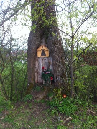 Bildnis in einem Baum