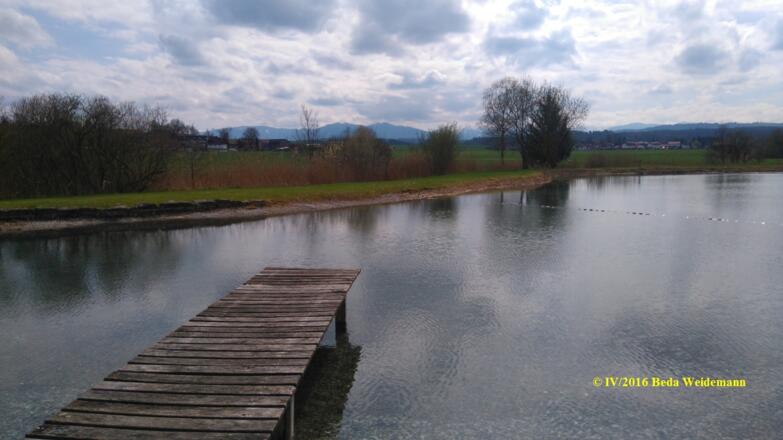 Blick über den Badeweiher nach Süden