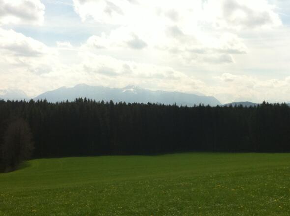 Hinter dem Waldgebiet erheben sich die Alpen majestätisch.