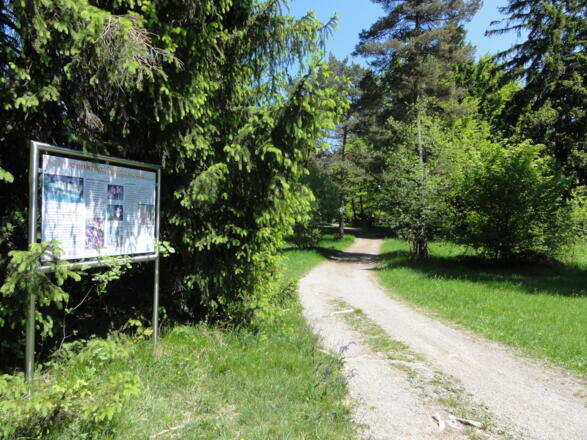 Heidewiese an der Schongauer Alm
