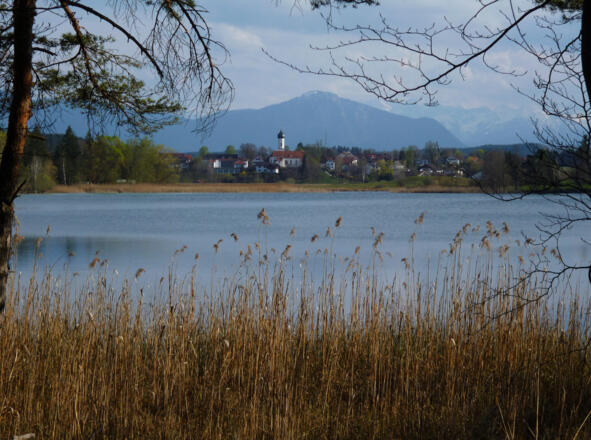 Vom Nordufer des Fohnsees bietet sich ein herrlicher Blick auf Iffeldorf.
