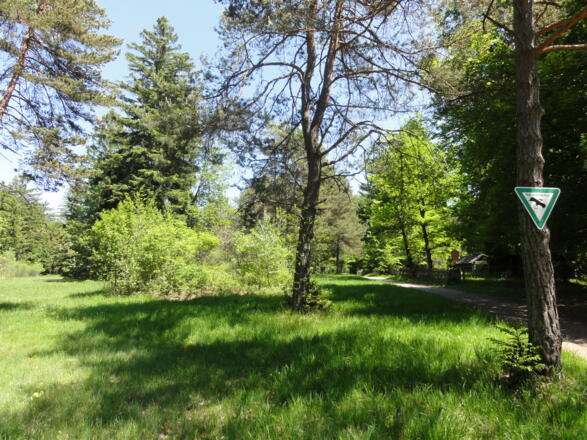 Heidewiese an der Schongauer Alm