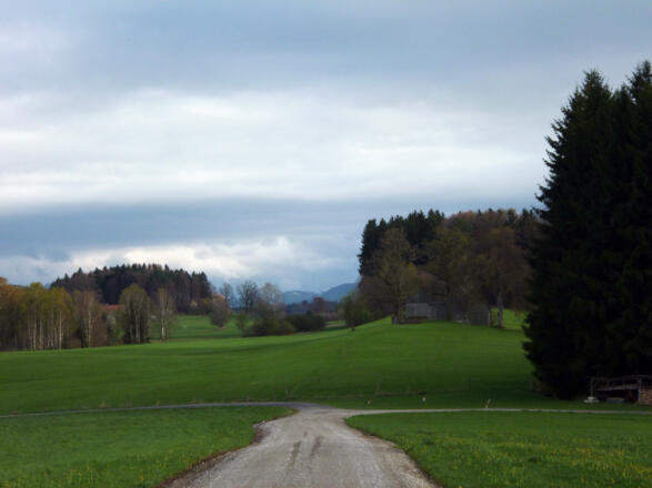 Wunderschöner Blick von der Kuppe nördlich oberhalb des Birkhofs auf die einzigartige Hardtlandschaft und die Alpen.