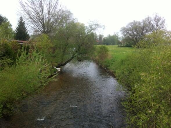 Durch saftige Wiesen schlängelt sich die Ach in Maxlried.