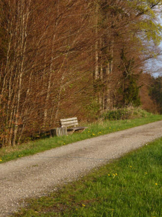 Direkt am Weg über den Schellenberg stehen mehrere Bänke, von denen man das herrliche Panorama genießen kann.