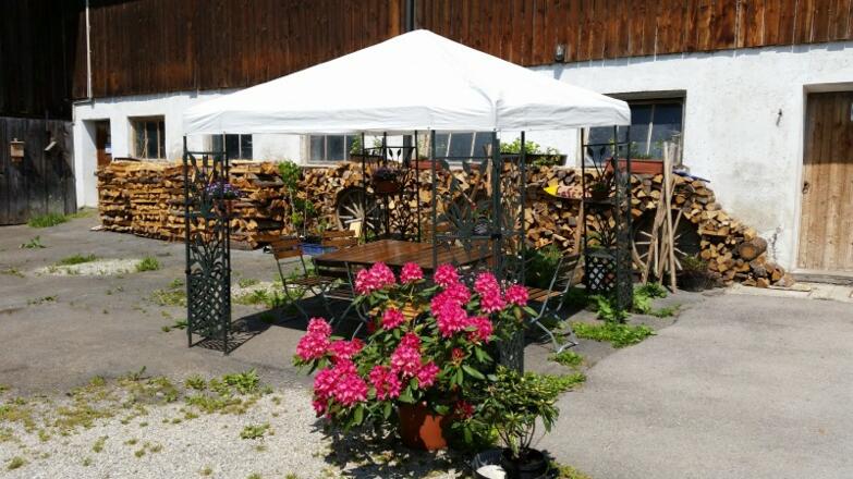 Paradieshof - Café, Events, Obst, Kräuter