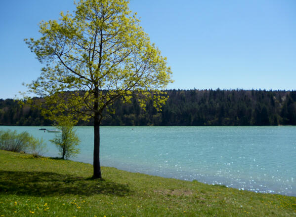 Das Lechbad Lido - ein beliebter Badestrand am Lechstausee südlich von Schongau.