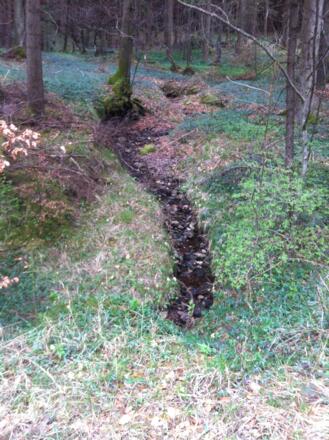 Gewässer am Wegesrand