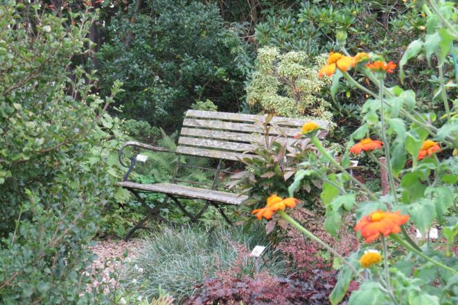Ruheplatz im Seeshaupter Schaugarten