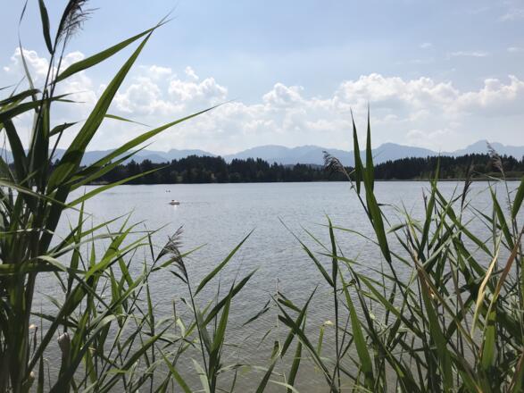 Schmuttersee bei Sameister