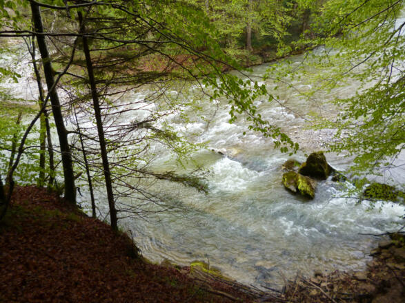Immer wieder bieten sich eindrucksvolle Tiefblicke auf die Ammer.