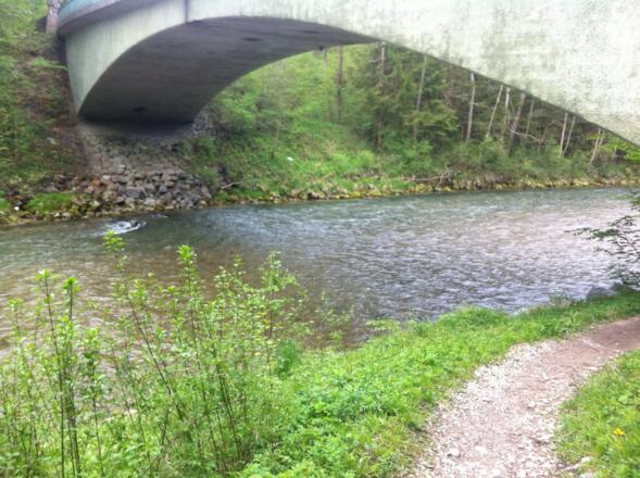 Ammerbrücke südwestlich von Wörth.