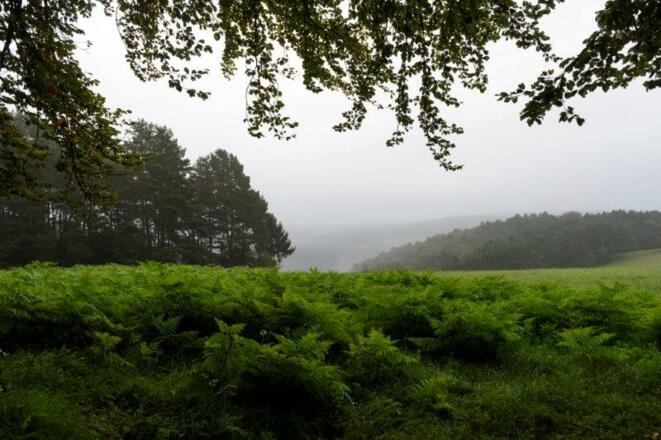 Ausblick an der Kapelle Herrin der Berge Heimbuchenthal