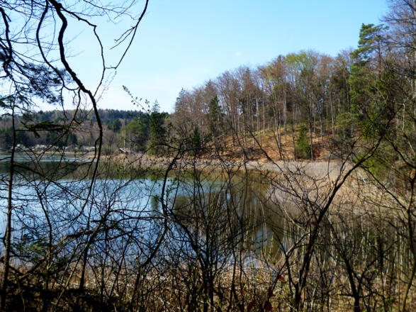 Am Ostufer des Frechensees ist der Blick auf den See häufig durch Bäume verdeckt.