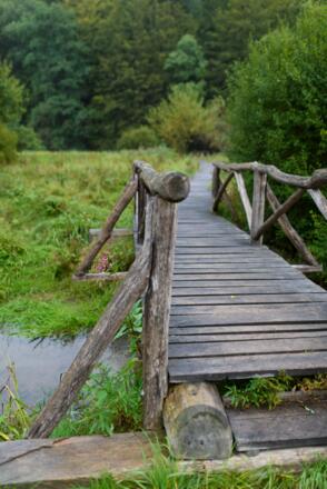 Bhlensteg im Hafenlohrtal bei Rothenbuch