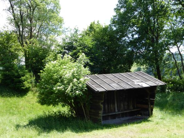 Schutzhütte Lohrer Berg Nähe Rothenbuch