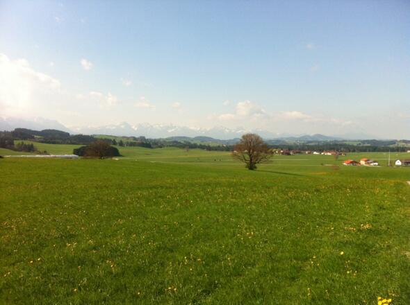 Unweit von Steingaden hat man einen grandiosen Alpenblick