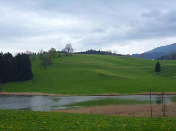 Der Biberschwöller See südlich von Steingaden.