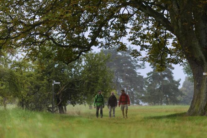 unter der alten Kastanie an der Kapelle Herrin der Berge Heimbuchenthal
