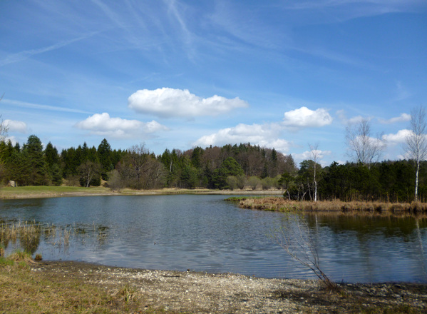 Idylle pur am Westufer des Frechensees.
