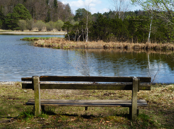 Eine Bank direkt am Ufer des Frechensees bietet Gelegenheit zum Verweilen.