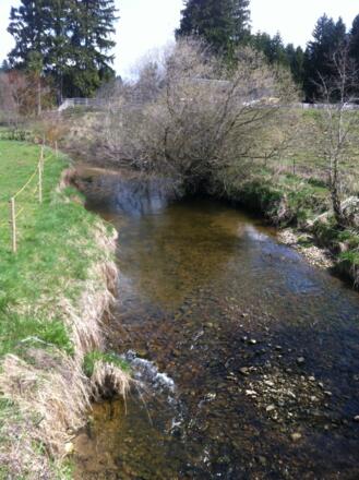 Der Aubach in Steingaden