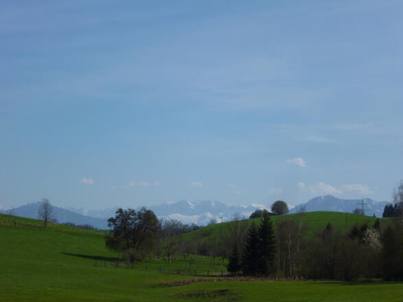 Grandioser Blick über die hügeligen Felder und Wiesen rund um Wolfetsried hinweg auf die Alpenkette.