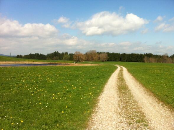 Schotterweg zum Storchenmoosweiher.