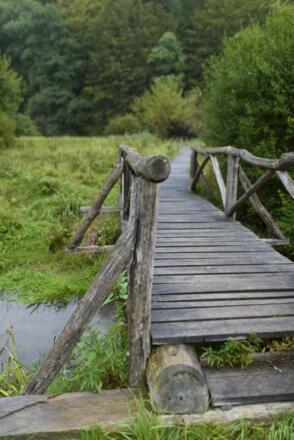 Bohlensteg im Hafenlohrtal